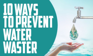 10 Ways to To Prevent Water Waster DIY Guide Img