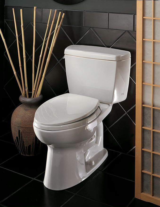 Best-10-Inch-Rough-In-Toilets-Reviews-And-Complete-Buying-Guide-TN
