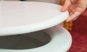 Best Padded Toilet Seats 2 Img