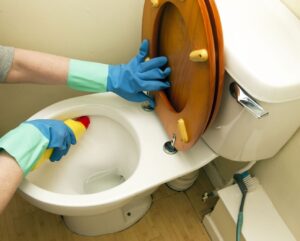 Best Toilet Bowl Cleaner 2 Img
