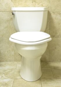 Best Toilet Seat for Heavy Person Img