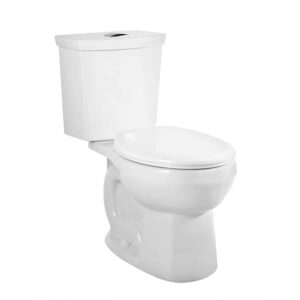 Dual Flush Toilets Img