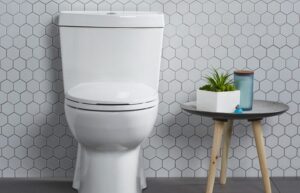How To Choose The Best Elongated Toilet Img