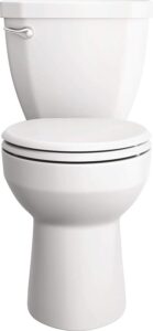 ProFlo Toilet Review Img