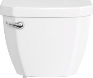ProFlo Toilet Review 2 Img