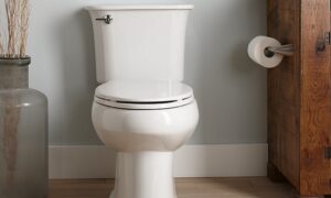 Top 3 Sterling Toilet Reviews [Updated 2022] Img