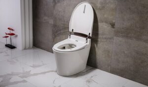 Top 4 EAGO Toilet Reviews – Complete Buyer’s Guide [2022] Img