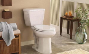 Best American Standard Toilet Img