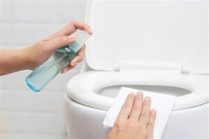 How To Clean RV Toilet Img