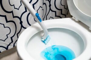 How To Prevent Poop From Sticking To Toilet Img