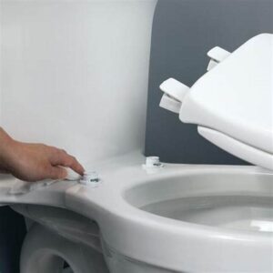 How to Replace a Toilet Seat Img