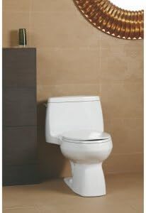 Kohler Santa Rosa Toilet Reviews Img