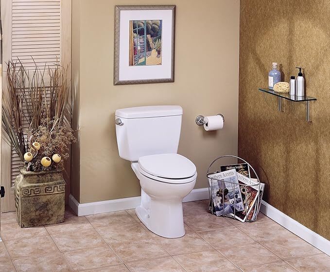 The-Best-Flushing-Toilet-Reviews-And-Complete-Buying-Guide-2-TN