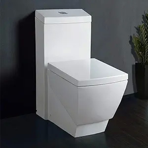 WoodBridge T-0020 Dual Flush Elongated One Piece Toilet Img