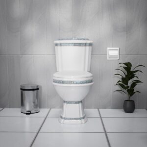 Best Dual Flush Toilet 2 Img