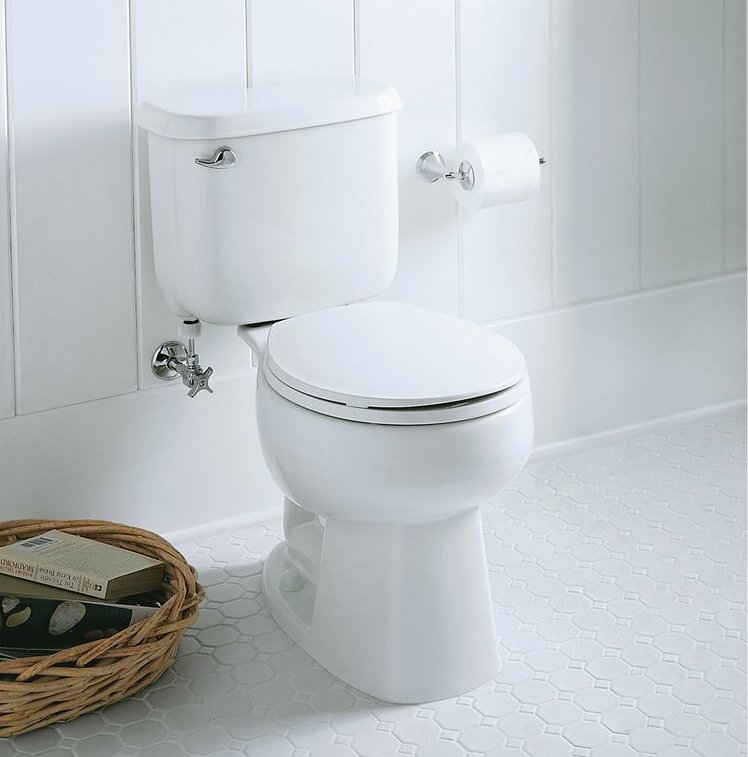 Top-3-Sterling-Toilet-Reviews-[Updated-2021]-TN